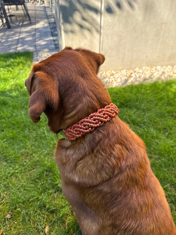 NALA (Glitter Version) - Halsband